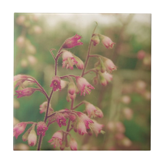 Corelbells, Spring Flowers Tile (Front)