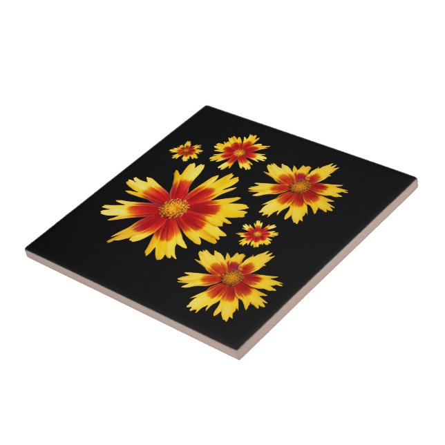 Coreopsis Gold and Bronze Tickseed Flower Medley Tile (Side)