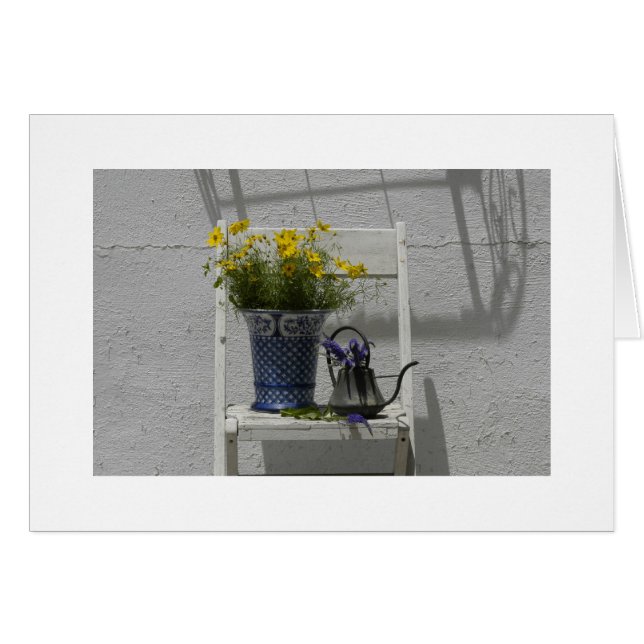 Corepsis on old chair (Front Horizontal)