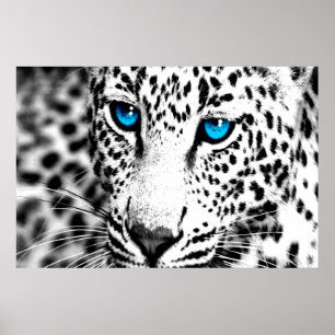 Corey Tiger 80s Retro Leopard Poster