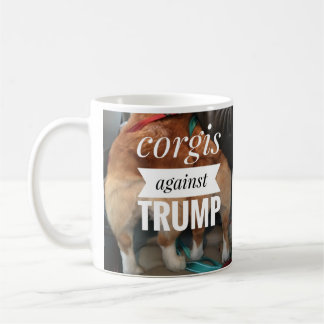 corgi against mug