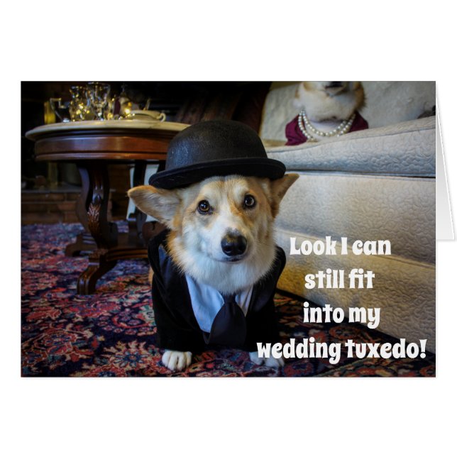 Corgi Anniversary card (Front Horizontal)