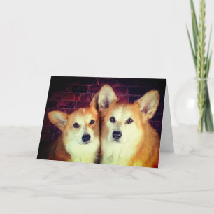 Corgi Anniversary Card