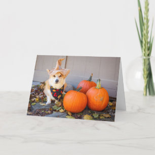 Corgi avec carte d'action de grâces Citrouille