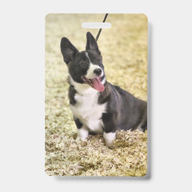 Corgi Badge (Front)