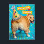 Corgi Butt Birthday Hat<br><div class="desc">Party your tail off! | Avanti,  the Global Humour Brand™ has been entertaining the world with its Feel Good Funny greeting cards for over 40 years. Our characters live life to the fullest and celebrate the humour in everyday life.</div>