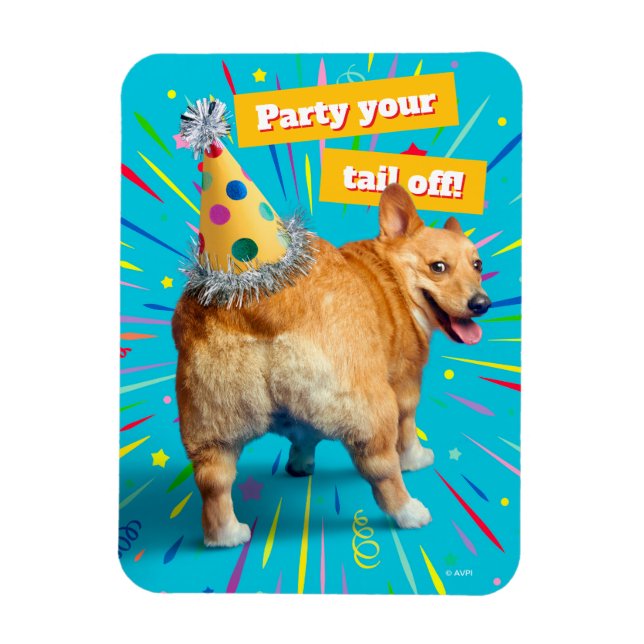 Corgi Butt Birthday Hat Magnet (Vertical)
