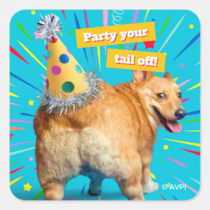 Corgi Butt Birthday Hat Square Sticker
