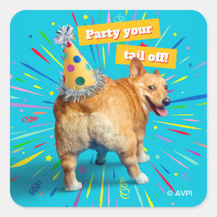Corgi Butt Birthday Hat Square Sticker