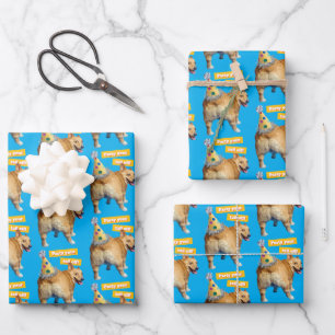 Corgi Butt Birthday Hat Wrapping Paper Sheet