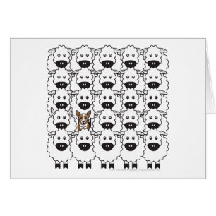 Corgi chez les moutons