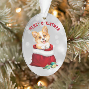 Corgi Chien Chien Cadeau Surprise Ornement