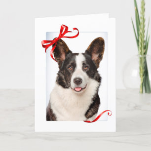 Corgi Christmas Card