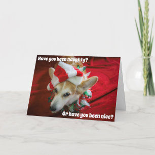Corgi Christmas Card