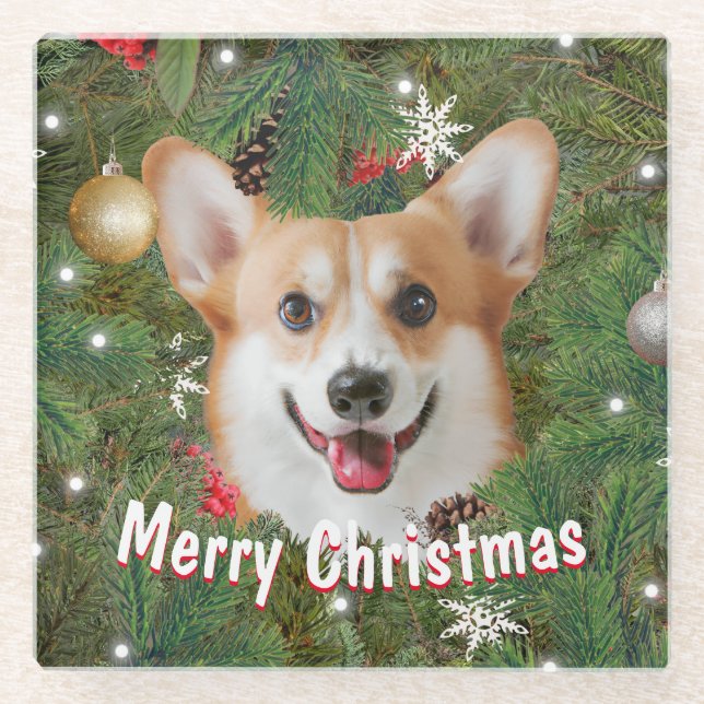 Corgi Christmas Glass Coaster (Front)
