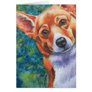 Corgi Curious Chien