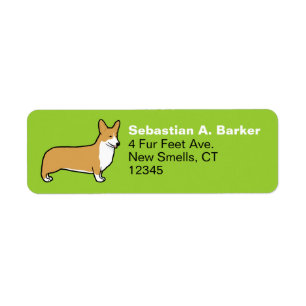 Corgi de Gallois de Pembroke