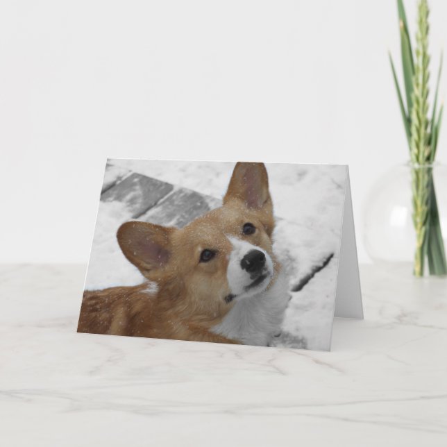 Corgi de Gallois de Pembroke dans la carte de (Devant)