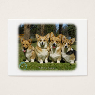 Corgi de Gallois (Pembroke)