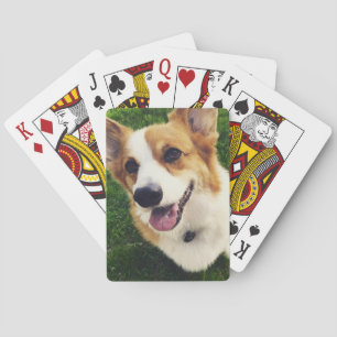 Corgi Deck of Playing Cards