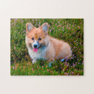 Corgi Dog. Jigsaw Puzzle