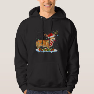 Corgi Dog Lighting Santa Reindeer Hat Corgi Chris Hoodie