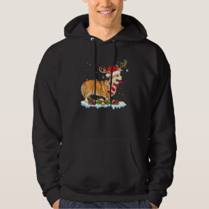 Corgi Dog Lighting Santa Reindeer Hat Corgi Christ Hoodie