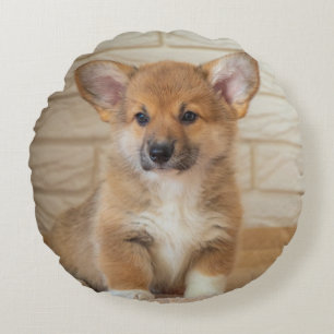 Corgi Dog Photo Round Pillow