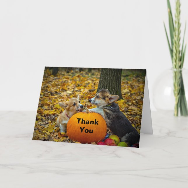 Corgi Dog Pumpkin Autumn Photo Thank You Card (Front)