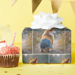 Corgi Dog Wearing Blue Jean Shorts Wrapping Paper