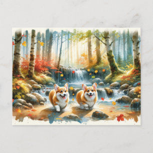 Corgi Dogs In A Woodland Stream With Fall Colours Postcard