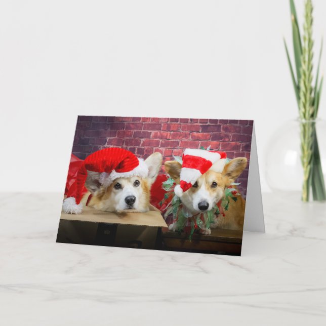Corgi Elf Christmas Card (Front)