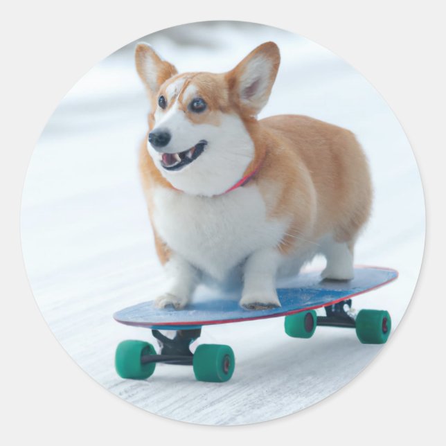 Corgi fun skateboarding classic round sticker (Front)
