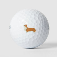 Corgi