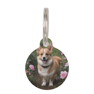 Corgi In The Pink Roses, Pet Tag