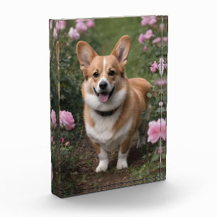 Corgi In The Pink Roses, Photo Block