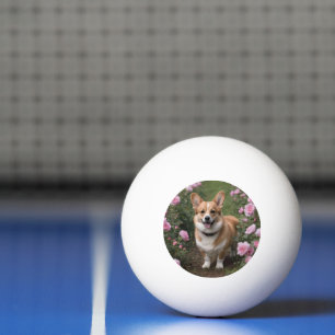 Corgi In The Pink Roses, Ping Pong Ball