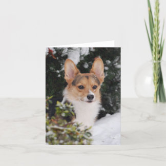 Corgi in the Snow Card