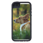 Corgi iPhone 5 Case