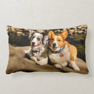 Corgi Lovers Lumbar Pillow