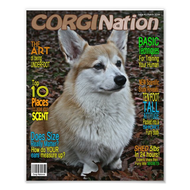 Corgi Nation Magazine (Customizable Print) Photo Print (Front)