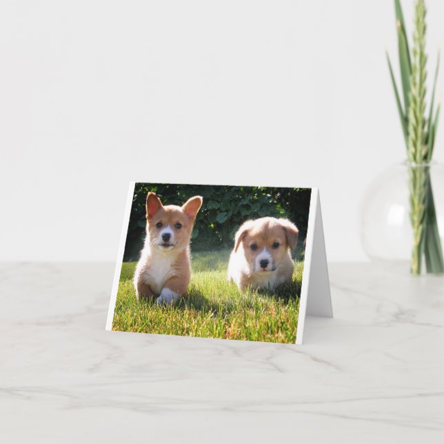 Corgi ( Pembroke ) Puppy Dog Blank Note Card (Front)