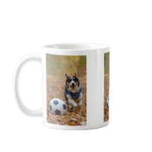 Corgi Playing Soccer