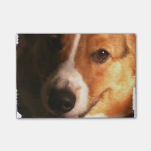 Corgi Post-it Notes