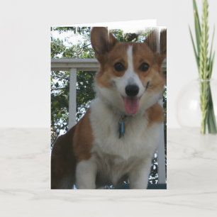 Corgi Puppy Dog Greeting Card