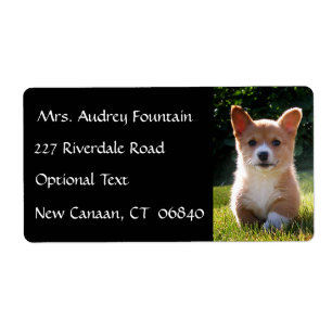 Corgi Puppy Dog Name Return Adresse Étiquette de 
