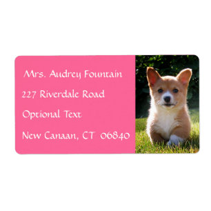 Corgi Puppy Dog Name Return Adresse Étiquette de 