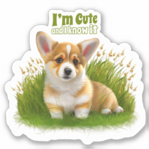 Corgi puppy on the grass   cute pet