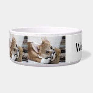 Corgi Puppy "We love Corgis" Food Bowl