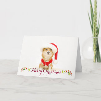 Corgi Santa Paws Christmas Card | DaysieMeetsWorld